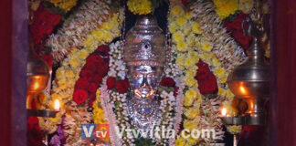 ವಿಟ್ಲ: ಕೋಲ್ಪೆ ಶ್ರೀ ಷಣ್ಮುಖ ಸುಬ್ರಹ್ಮಣ್ಯ ದೇವಸ್ಥಾನದಲ್ಲಿ ಕಿರುಷಷ್ಠಿ ಉತ್ಸವ ಸಂಪನ್ನ