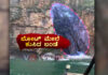 ಜನಪ್ರಿಯ ಪ್ರವಾಸಿ ತಾಣದಲ್ಲಿ ಭೀಕರ ದುರಂತ; ಬಂಡೆ ಕುಸಿದು ಬಿದ್ದು 10 ಮಂದಿ ದುರ್ಮರಣ