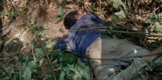 ಮದೆನಾಡು: ತೋಟದ ಕೆಲಸಕ್ಕೆಂದು ತೆರಳಿದ್ದ ವ್ಯಕ್ತಿ ಮೇಲೆ ಕಾಡಾನೆ ದಾಳಿ..!!