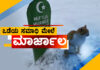 ಮೈ ಕೊರೆಯುವ ಹಿಮಪಾತ..! ಮಾಲೀಕನ ನೆನೆದು ಸಮಾಧಿಯ ಮೇಲೆ ಕುಳಿತ ಮಾರ್ಜಾಲ..!