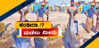 ಮಲ್ಪೆ: ಮೀನುಗಾರರ ಬಲೆಗೆ ಬಿತ್ತು 60 ಕೆಜಿ ತೂಕದ ಮಡಲು ಮೀನು..!