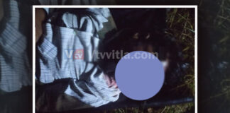 ಬೆಳ್ತಂಗಡಿ: ಹಿಟ್ ಆಂಡ್ ರನ್; ಬೈಕ್ ಸವಾರ ಸಾವು.!