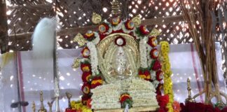ವಿಟ್ಲ: ಮೇಗಿನಪೇಟೆ ಶ್ರೀ ಮಹಮ್ಮಾಯಿ ಅಮ್ಮನವರ ದೇವಸ್ಥಾನದಲ್ಲಿ ಪ್ರಥಮ ಬಾರಿಗೆ ವಾರ್ಷಿಕ ಮಾರಿಪೂಜೆ