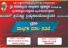 ವಿಟ್ಲ: ಮೇಗಿನಪೇಟೆ ಶ್ರೀ ಮಹಮ್ಮಾಯಿ ಅಮ್ಮನವರ ದೇವಸ್ಥಾನದಲ್ಲಿ ಬ್ರಹ್ಮಕಲಶೋತ್ಸವ ನಂತರ ಪ್ರಥಮ ಬಾರಿಗೆ ವಾರ್ಷಿಕ ಮಾರಿ ಪೂಜೆ