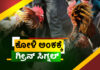 ತುಳುನಾಡಿನ ಕೋಳಿ ಅಂಕಕ್ಕೆ ಗ್ರೀನ್ ಸಿಗ್ನಲ್; ಫೈಟರ್ ಹುಂಜಗಳಿಗೆ ಹೆಚ್ಚಿದ ಡಿಮ್ಯಾಂಡ್.!