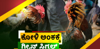 ತುಳುನಾಡಿನ ಕೋಳಿ ಅಂಕಕ್ಕೆ ಗ್ರೀನ್ ಸಿಗ್ನಲ್; ಫೈಟರ್ ಹುಂಜಗಳಿಗೆ ಹೆಚ್ಚಿದ ಡಿಮ್ಯಾಂಡ್.!
