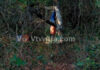 ಪುತ್ತೂರು: ನೇಣುಬಿಗಿದ ಸ್ಥಿತಿಯಲ್ಲಿ ವ್ಯಕ್ತಿಯೋರ್ವರ ಶವ ಪತ್ತೆ