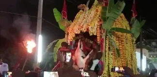 20ಕ್ಕೂ ಹೆಚ್ಚು ಕುರಿಗಳ ಕತ್ತು ಕಚ್ಚಿ ರಕ್ತ ಕುಡಿದ ಅರ್ಚಕ!