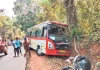 ಹೆಬ್ರಿ: ಚಾಲಕನ ನಿಯಂತ್ರಣ ತಪ್ಪಿ ಬಸ್ ಮರಕ್ಕೆ ಡಿಕ್ಕಿ: 15 ಮಂದಿ ಪ್ರಯಾಣಿಕರಿಗೆ ಗಾಯ