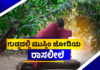 ವಿಟ್ಲ: ಬಲ್ಲಮಲೆ ಗುಡ್ಡೆಯಲ್ಲಿ ಮುಸ್ಲಿಂ ಜೋಡಿಯ ರಾಸಲೀಲೆ; ಜೋಡಿ ಪೊಲೀಸ್ ವಶಕ್ಕೆ