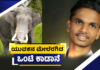ಸುಬ್ರಹ್ಮಣ್ಯ: ಡೈರಿಗೆ ಹಾಲು ಕೊಂಡೊಯ್ಯುತ್ತಿದ್ದ ಯುವಕನ ಮೇಲೆ ದಾಳಿ ನಡೆಸಿದ ಒಂಟಿ ಸಲಗ; ಸ್ಥಿತಿ ಚಿಂತಾಜನಕ