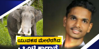 ಸುಬ್ರಹ್ಮಣ್ಯ: ಡೈರಿಗೆ ಹಾಲು ಕೊಂಡೊಯ್ಯುತ್ತಿದ್ದ ಯುವಕನ ಮೇಲೆ ದಾಳಿ ನಡೆಸಿದ ಒಂಟಿ ಸಲಗ; ಸ್ಥಿತಿ ಚಿಂತಾಜನಕ