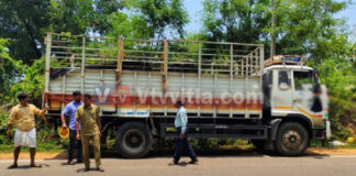 ಪುತ್ತೂರು: ರಸ್ತೆ ಬದಿ ಕಲ್ಲಂಗಡಿ ಹಣ್ಣಿನ ತ್ಯಾಜ್ಯ ಎಸೆತ; ದಂಡ ವಿಧಿಸಿದ ಅಧಿಕಾರಿಗಳು