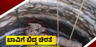 ಕಾರ್ಕಳ: ಬಾವಿಗೆ ಬಿದ್ದ ಚಿರತೆ – ಅರಣ್ಯ ಇಲಾಖೆ ಸಿಬ್ಬಂದಿಯಿಂದ ರಕ್ಷಣೆ