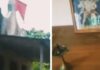 ಕಡಬ: ಯಾರೋ ಅಪರಿಚಿತರು ಚರ್ಚ್ ಗೋಪುರದ ಶಿಲುಬೆ ತೆಗೆದು, ಪ್ರಾರ್ಥನ ಮಂದಿರದ ಒಳಗಡೆ ಹನುಮಂತನ ಫೋಟೋವಿಟ್ಟ ಆರೋಪ: ಚರ್ಚ್ ಫಾದರ್ ನಿಂದ ಪೊಲೀಸ್ ಠಾಣೆಗೆ ದೂರು; ಪ್ರಕರಣ ದಾಖಲು