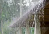 ಕೇರಳದಲ್ಲಿ ಭಾರೀ ಮಳೆಯಿಂದಾಗಿ ಆರೆಂಜ್ ಅಲರ್ಟ್ ಘೋಷಣೆ