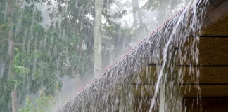 ಮಂಗಳೂರು: ಕರಾವಳಿ ಭಾಗದಲ್ಲಿ ಎಲ್ಲೋ ಅಲರ್ಟ್ ಘೋಷಣೆ