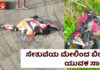 ಡುಕಾಟಿ ಬೈಕ್ನಲ್ಲಿ ಜಾಲಿ ರೈಡ್ ಹೊರಟವ ಸೇತುವೆಯ ಮೇಲಿಂದ ಬಿದ್ದು ಮೃತ್ಯು