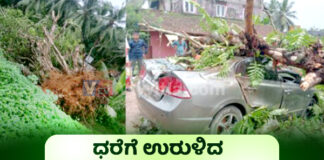ಬಂಟ್ವಾಳ: ಉರುಳಿಬಿದ್ದ ಅಶ್ವತ್ಥ ಮರ; ಕಾರು ಜಖಂ – ಪ್ರಾಣಾಪಾಯದಿಂದ ವ್ಯಕ್ತಿ ಪಾರು