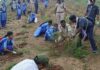 ಪುತ್ತೂರು: ಒಂದು ದಿನದ ಸಾಹಸ ಚಾರಣ – “ಪ್ಲಾಸ್ಟಿಕ್ ಮುಕ್ತ ಮಂದಾಲ್ ಪಟ್ಟಿ”