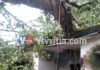 ಕರೋಪಾಡಿ: ಬೃಹತಾಕಾರದ ಮರ ಮನೆ ಮೇಲೆ ಬಿದ್ದು, ಮನೆ ಸಂಪೂರ್ಣ ನಾಶ