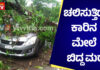 ಪುತ್ತೂರು: ಚಲಿಸುತ್ತಿದ್ದ ಕಾರಿನ ಮೇಲೆ ಬಿದ್ದ ಮರ; ಪ್ರಯಾಣಿಕರು ಅಪಾಯದಿಂದ ಪಾರು