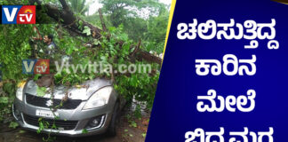 ಪುತ್ತೂರು: ಚಲಿಸುತ್ತಿದ್ದ ಕಾರಿನ ಮೇಲೆ ಬಿದ್ದ ಮರ; ಪ್ರಯಾಣಿಕರು ಅಪಾಯದಿಂದ ಪಾರು