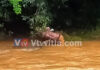 ಕಾಣಿಯೂರು: ಬೈತ್ತಡ್ಕ ಹೊಳೆಗೆ ಕಾರು ಬಿದ್ದ ಪ್ರಕರಣ; ಇಬ್ಬರ ಮೃತದೇಹ ಪತ್ತೆ