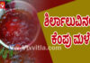 ಬೆಳ್ತಂಗಡಿ: ಅಚ್ಚರಿ ಮೂಡಿಸಿದ “ರಕ್ತ ಮಳೆ”.!!