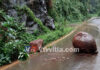 ಮಡಿಕೇರಿ: ಭಾರಿ ಮಳೆಯಿಂದ ರಸ್ತೆಗಳು ಕುಸಿಯುವ ಭೀತಿ; ಸರಕು ಸಾಗಾಣಿಕೆ ವಾಹನಗಳಿಗೆ ನಿಷೇಧ: ಜಿಲ್ಲಾಧಿಕಾರಿ ಆದೇಶ