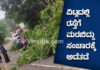 ವಿಟ್ಲ: ಹೆದ್ದಾರಿಗೆ ಬಿದ್ದ ಮರ; ಕೆಲಹೊತ್ತು ಸಂಚಾರಕ್ಕೆ ಅಡೆತಡೆ
