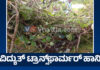 ವಿಟ್ಲ: ಮರ ಬಿದ್ದು ಧರೆಗುರುಳಿದ ವಿದ್ಯುತ್ ಪರಿವರ್ತಕ; ವಿದ್ಯುತ್ ಕಡಿತ.!