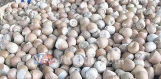ವಿಟ್ಲ: ಮನೆಯ ಅಂಗಳದಲ್ಲಿ ಒಣಗಲು ಹಾಕಿದ್ದ ಅಡಿಕೆ ಕಳವು