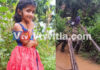 ಉಡುಪಿ: ಕಾಲುಸಂಕದಿಂದ ಜಾರಿ ನೀರುಪಾಲಾಗಿದ್ದ ವಿದ್ಯಾರ್ಥಿನಿ; ಎರಡು ದಿನವಾದರು ಸುಳಿವಿಲ್ಲ; ಶೋಧ ಕಾರ್ಯ ಮುಂದುವರಿಕೆ