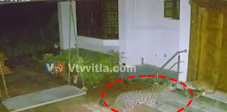 ಉಡುಪಿ: ಸಾಕು ನಾಯಿಯನ್ನು ಎಳೆದೊಯ್ದ ಚಿರತೆ; ಸಿಸಿಟಿವಿಯಲ್ಲಿ ದೃಶ್ಯ ಸೆರೆ