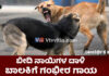 ಉಡುಪಿ: 1ನೇ ತರಗತಿ ವಿಧ್ಯಾರ್ಥಿನಿ ಮೇಲೆ ಬೀದಿ ನಾಯಿಗಳ ದಾಳಿ