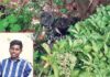 ಉಡುಪಿ: ಚರಂಡಿಗೆ ಬಿದ್ದ ಬೈಕ್; ವಿದ್ಯಾರ್ಥಿ ಸಾವು