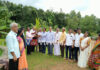 ವಿಟ್ಲ: ಲಯನ್ಸ್ ಕ್ಲಬ್ ವಿಟ್ಲ ಸಿಟಿ ಮತ್ತು ದ.ಕ.ಹಿ.ಪ್ರಾ. ಶಾಲೆ ಕಡಂಬು ಇದರ ಜಂಟಿ ಆಶ್ರಯದಲ್ಲಿ ಸ್ವಾತಂತ್ರ್ಯ ದಿನಾಚರಣೆ ಮತ್ತು ವನಮಹೋತ್ಸವ ಕಾರ್ಯಕ್ರಮ