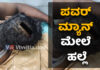 ಬೆಳ್ತಂಗಡಿ: ಬಿಲ್ ಕಟ್ಟದ ಮನೆಯ ವಿದ್ಯುತ್ ಕಡಿತ; ಪವರ್ ಮ್ಯಾನ್ ತಲೆಗೆ ಸೋಡಾದ ಬಾಟಲಿಯಿಂದ ಹೊಡೆದು ಹಲ್ಲೆ; ಆರೋಪಿ ಅಂದರ್