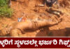ಮಹಿಳೆಯ ಸರ ಕಿತ್ತ ಚೋರರಿಗೆ ಅಲ್ಲೇ ಬಂಪರ್ ಬಹುಮಾನ..! ಅಪಘಾತಕ್ಕೀಡಾಗಿ ಇಬ್ಬರು ಕಳ್ಳರು ಗಂಭೀರ