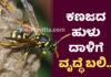 ಬಂಟ್ವಾಳ: ಕಣಜದ ಹುಳು ದಾಳಿಗೆ ವೃದ್ದೆ ಬಲಿ