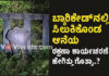 ಕಾಂಕ್ರೀಟ್ ಬ್ಯಾರಿಕೇಡ್ನೊಳಗೆ ಸಿಲುಕಿಕೊಂಡ ಆನೆ; ರಕ್ಷಣೆಗೆ ಹರಸಾಹಸ ಪಟ್ಟರು!….