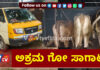 ವಿಟ್ಲ: ಅಕ್ರಮ ಗೋ ಸಾಗಾಟ; ವಾಹನ ಸಹಿತ ಇಬ್ಬರ ಬಂಧನ