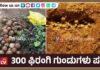 ಕಾರ್ಕಳ ಕೋಟೆಯಲ್ಲಿ 300ಕ್ಕೂ ಹೆಚ್ಚು ಫಿರಂಗಿ ಗುಂಡುಗಳು ಪತ್ತೆ!