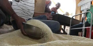 ಬಂಟ್ವಾಳ: ಪಡಿತರ ಅಕ್ಕಿ ಅಕ್ರಮ ದಾಸ್ತಾನು; ಬಂಟ್ವಾಳ ಉಪ ತಹಶೀಲ್ದಾರ್ ನೇತೃತ್ವದಲ್ಲಿ ರೈಡ್