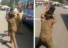 ಕಾರ್ಕಳ: ಬಸ್ ನಿಲ್ದಾಣದಲ್ಲಿ ಬಸ್ ಚಾಲಕ ಮತ್ತು ಕಂಡಕ್ಟರ್ ಮಧ್ಯೆ ಹೊಡೆದಾಟ..!!