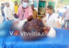 ವಿಟ್ಲ: ಬೈಕ್ ಸ್ಕಿಡ್ ಆಗಿ ಸವಾರ ಗಂಭೀರ..!!
