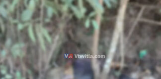 ಪುತ್ತೂರು: ರೈಲ್ವೇ ನಿಲ್ದಾಣದ ಬಳಿ ಕೊಳೆತ ಸ್ಥಿತಿಯಲ್ಲಿ ಅಪರಿಚಿತ ಮಹಿಳೆಯ ಮೃತದೇಹ ಪತ್ತೆ