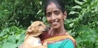 ಮಂಗಳೂರು: ಪ್ರತಿದಿನ 800ಕ್ಕೂ ಹೆಚ್ಚು ಬೀದಿನಾಯಿಗಳಿಗೆ ಆಹಾರ ನೀಡುವ ರಜನಿ ಶೆಟ್ಟಿಗೆ ಮಂಗಳೂರು ಪ್ರೆಸ್ ಕ್ಲಬ್ನ ವರ್ಷದ ಪ್ರಶಸ್ತಿ