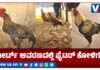 ನ್ಯಾಯಾಲಯದ ಆವರಣದಲ್ಲಿ ಫೈಟರ್ ಕೋಳಿಗಳು..! ಕುತೂಹಲ ಮೂಡಿಸಿದ ಹರಾಜು ಪ್ರಕ್ರಿಯೆ